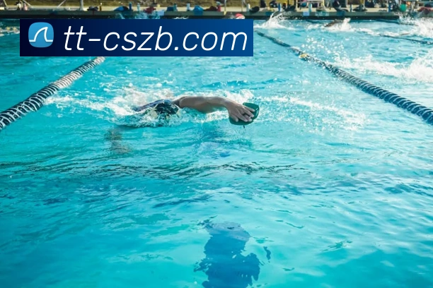 彩神争霸平台生态图