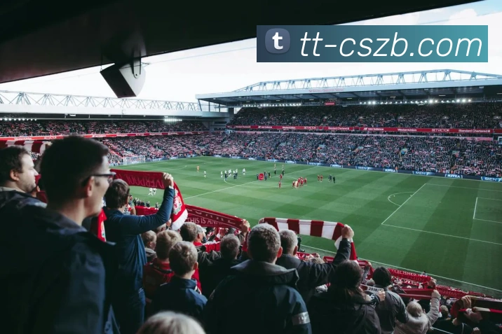 辅助工具 辅助工具